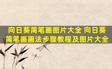 向日葵简笔画图片大全 向日葵简笔画画法步骤教程及图片大全